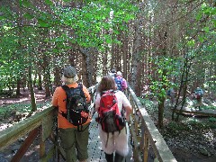 Teresa Blenis; Gail Ellsworth; Hiking; NCT; FLT; M-02; Allegany County Hike Series